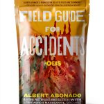 Beacon Press Asian-American Poetry E-book-0