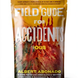 Beacon Press Asian-American Poetry E-book-0