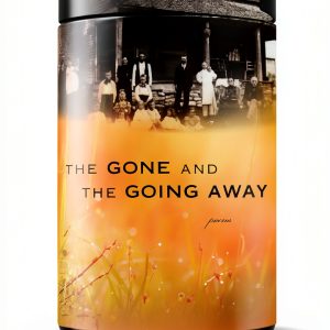 Asian-American Poetry Collection by Ecco Kindle eBook 115 Pages-0